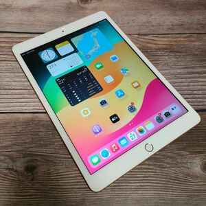 Apple iPad 第7世代 32GB 美品