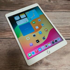 Apple iPad 第7世代 32GB 美品 Cellular