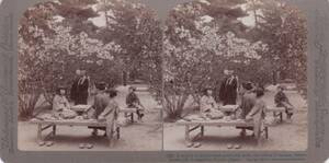 ステレオ写真 立体写真 古写真 明治期 京都 御室御所 仁和寺 桜 花見 ポンティング ステレオビュー 1904年