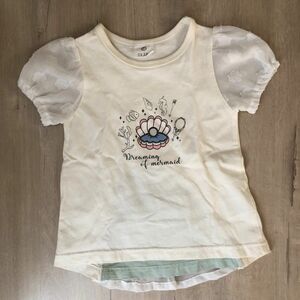 シシュノン　シェル　刺繍　Tシャツ