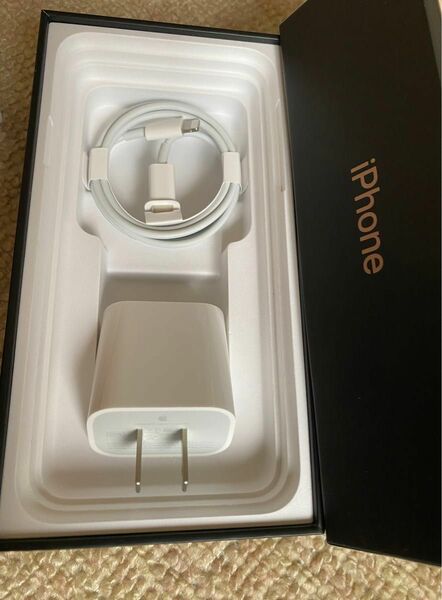 Apple純正品セット電源アダプター ケーブル USB-C iphone ipad 充電器 20W セット 