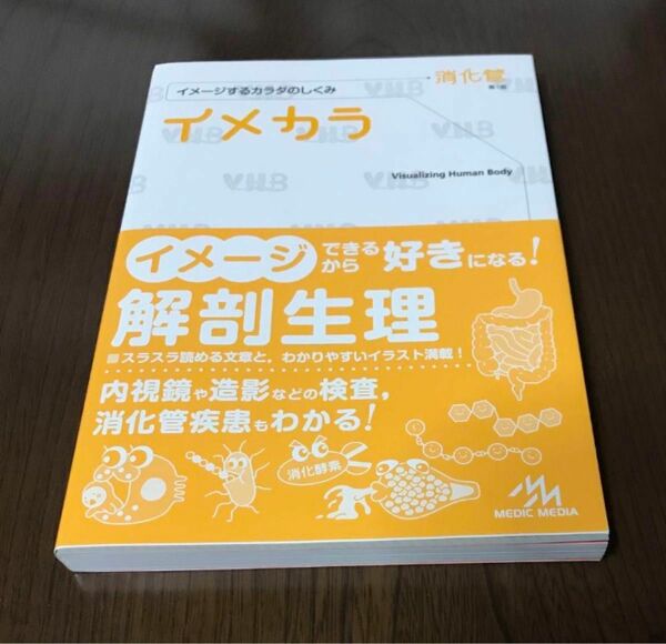 「イメカラ 消化管 イメージするカラダのしくみ」