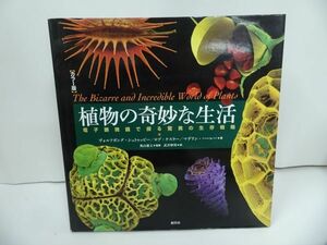 ★【カラー版 植物の奇妙な生活　~電子顕微鏡で探る驚異の生存戦略~】 ヴォルフガング・シュトゥッピー, ロブ・ケスラー