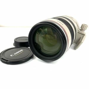 ■極上品■ CANON EF100-400mm F4.5-5.6L IS USM