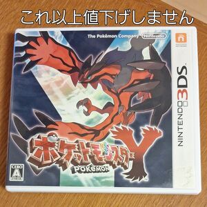 【3DS】 ポケットモンスター Y　タイムセール　5月中のみ