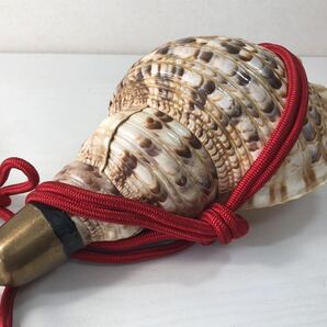 ほら貝 35cm 山伏道具 和楽器 法螺貝 の画像7