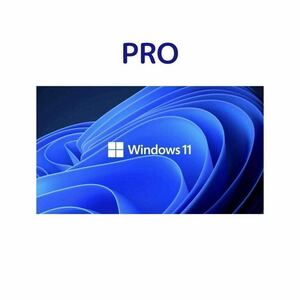 (ウィンドウズ)windows 11 pro プロダクトキー 一台 永年