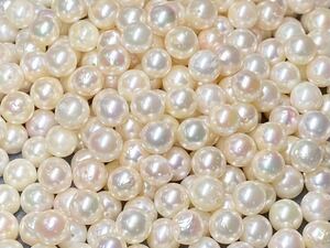 【 本真珠 】 アコヤ 真珠 pearl パール 6.5mm〜7.0mm 大量 まとめ売り 約145g jewelry ジュエリー 宝石 裸石 #106