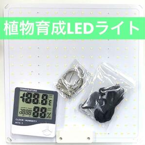 【SALE】植物育成 LED ライト 水耕 室内栽培 パネルライト mj-743