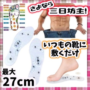 ダイエット インソール 足つぼ 中敷き 磁気 フットマッサージ 25cm 26cm 27cm 姿勢改善 むくみ 冷え性 足裏 刺激 内臓脂肪 大きいサイズ