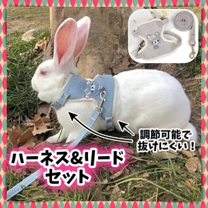 ハーネス リード セット 散歩 猫用 犬用 うさぎ用 胴輪 首輪 ベスト 服 かわいい 猫 犬 うさぎ 小型犬 ドッグラン 公園 病院 通院 訓練