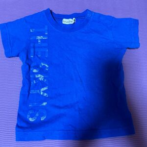 ブランシェス　80センチ　半袖tシャツ 青