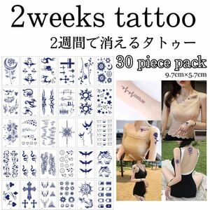 【D】ミニジャグアタトゥー30枚セット 2週間で消えるタトゥー イベント タトゥーシール