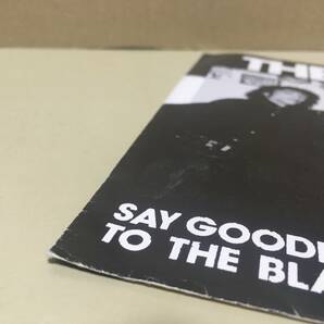THE FURYS / Say Goodbye To Black Sheep US orig 1978年 Double R Records 1011 powerpop パンク天国 LAパンク パワーポップの画像4