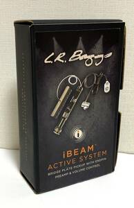 L.R.Baggs iBeam Active System For Acoustic
