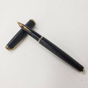 M061-501 fountain pen PLATINUM platinum 18K sheep leather to coil stationery writing implements 