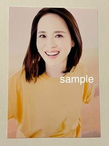  Matsuda Seiko L stamp photograph idol *9062