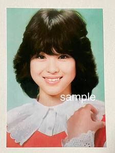 松田聖子　L判　写真　アイドル　☆9104