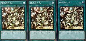 遊戯王 ノーマル 魔法 3枚セット 魔法族の里 SD39