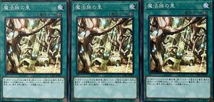 遊戯王 ノーマル 魔法 3枚セット 魔法族の里 DBIC