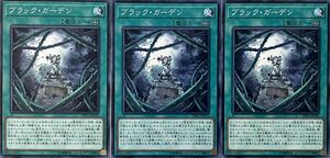 遊戯王 ノーマル 魔法 3枚セット ブラック・ガーデン DP21