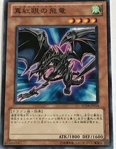 遊戯王 ノーマル 効果モンスター 1枚 真紅眼の飛竜 SD19