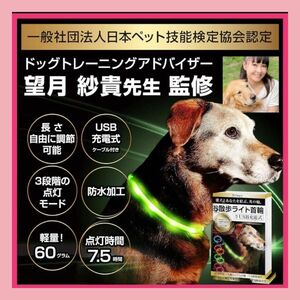 【夜のお散歩でも安心】光る首輪 散歩 光る ライト 首輪 犬の散歩用ライト 青 ブルー