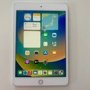 iPad mini5 64GB A2124 Wi-Fi+Cellular 7.9インチ 第5世代 中古 SIMフリー 番号：pd005