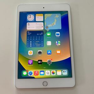 iPad mini5 64GB A2124 Wi-Fi+Cellular 7.9インチ 第5世代 中古 SIMフリー 番号：pd038