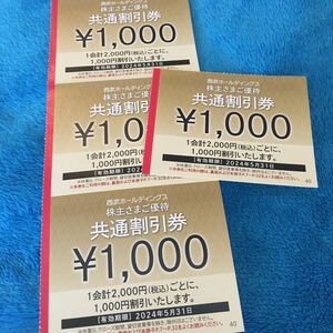 【即日投函可・最新】西武 株主優待券 共通割引券 4000円分 (1000円×4枚)　ミニレター63円 2024年5月31日　西武鉄道 西武ホールディングス