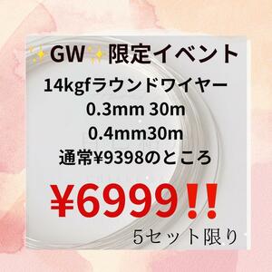 GWスペシャル企画 14kgfラウンドワイヤー　0.3mm 0.4mm 60m 素材