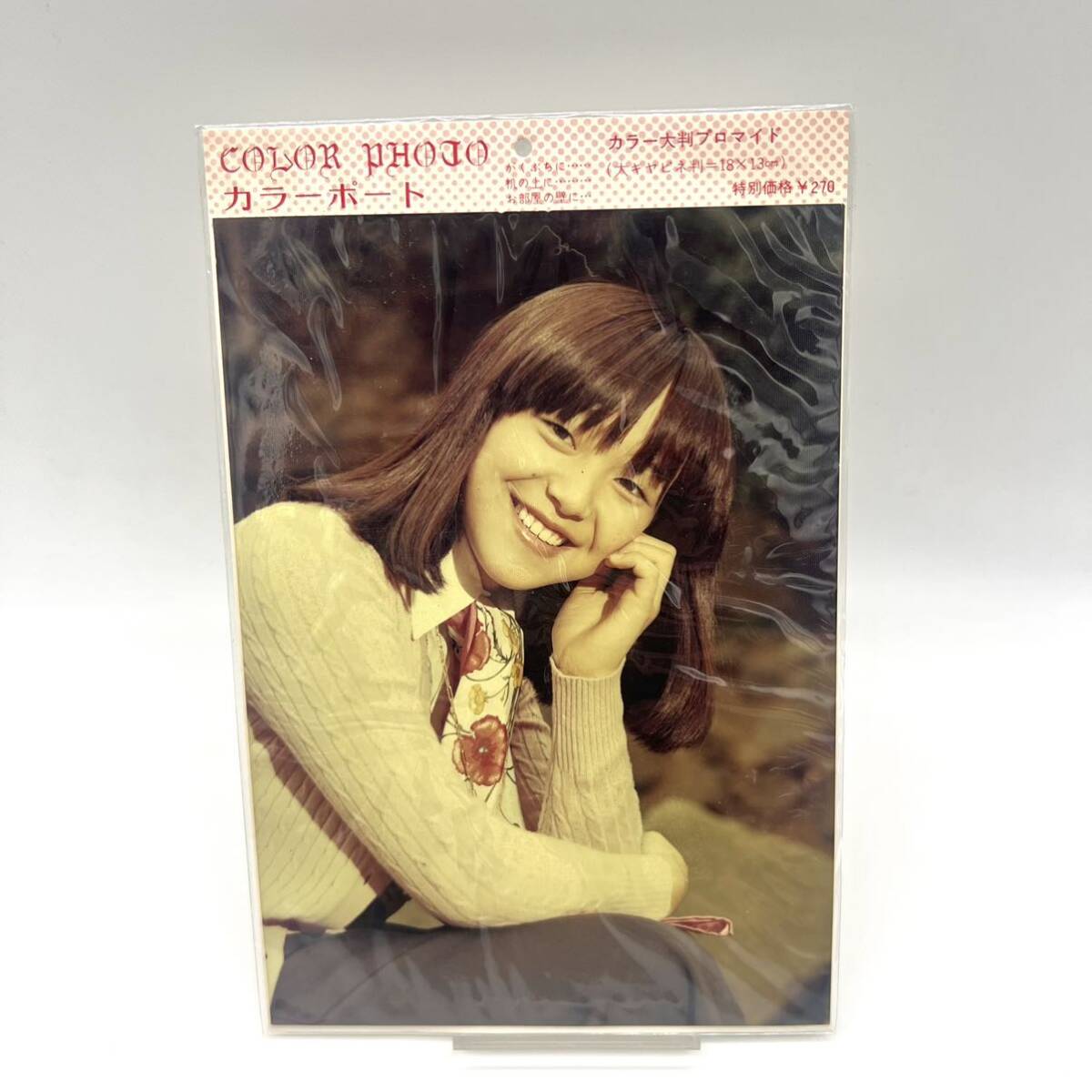 2025年最新】Yahoo!オークション -岩崎 宏美(印刷物)の中古品
