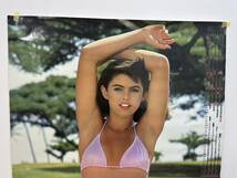 新品 NEBA カレンダー ダイデン 1984年 外国人 モデル 水着 ビキニ セクシー 企業 ポスターＢ1サイズ _画像2
