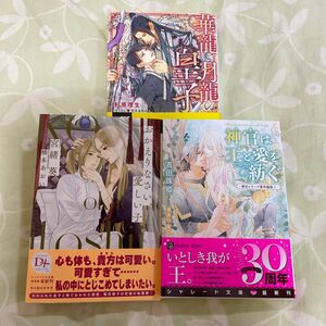 おかえりなさい、愛しい子 （新書館ディアプラス文庫　６０２） 宮緒葵／著