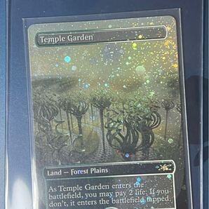 GALAXYFoil 532 ボーダーレス 寺院の庭 Temple Garden MTG Foil 