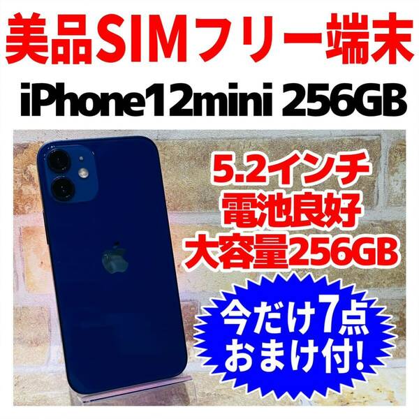 SIMフリー iPhone12mini 256GB 193 ブルー バッテリー良好