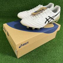 asics【アシックス】DS LIGHT X-FLY 5【1101A047-100】ホワイト×ブラック　新品正規品_画像1