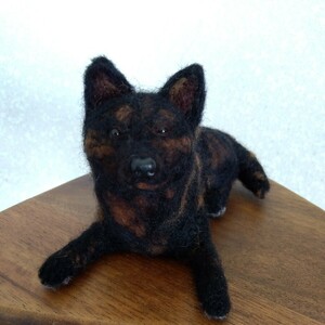  wool felt .. dog dog Japan dog Mix dog . kind dog hand made soft toy * free shipping * * anonymity delivery *1