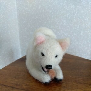 Art hand Auction Wool felt Shiba Inu Dog Japanese dog Mixed breed White dog Handmade stuffed animal ★Free shipping★ ★Anonymous delivery★3, toy, game, stuffed toy, Wool felt