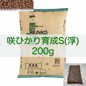 【送料無料】キョーリン 咲ひかり 育成 Sサイズ(浮) 200g 錦鯉・金魚・川魚