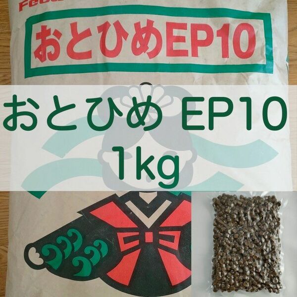 【送料無料】おとひめEP10 沈下性 1kg 真空パック エイ 錦鯉 ポリプテルス エンドリ ダトニオ キャット なまず