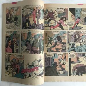 Raiders of the Lost Ark レイダース/スピルバーグ/ルーカス (マーベル コミックス) Marvel Comics 1981年 英語版 #2の画像6