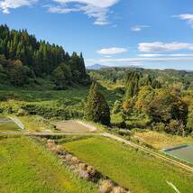 中山間地の野池