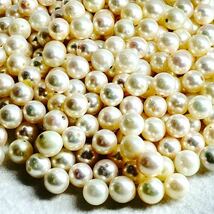 大量!!［本真珠おまとめ］M 100g/500ct 約6mm珠 pearl パール アコヤ 淡水 ケシ ジュエリー jewelry 裸石 宝石 _画像2