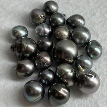 ［南洋黒蝶真珠おまとめ］M 重量約50.0g 約250ct 10.5-15.6mm珠 pearl パール ルース 裸石 宝石 ジュエリー jewelry DI0 ②_画像4