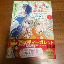 精霊魔法が使えない無能だと婚約破棄されたので、義妹の奴隷になるより追放を選びました　1巻　たは多花葉ねみ めぐめぐ_画像1