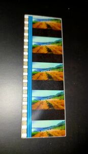 エヴァンゲリオン 破 スイカ畑 フィルム