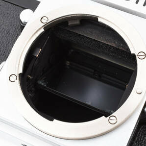 Nikon F ニコン Wnaist Level silver Body の画像10