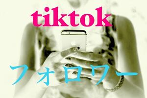 [ most high quality * low price *[tiktokfo lower 1000 person ]! extra! convenient SNS increase tool! SNS YouTube TikTok X Twitter contents making 