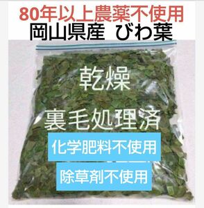 びわの葉 乾燥[細断] 200g 岡山県産 ビワの葉 びわ 農薬・化学肥料・除草剤不使用 健康茶 草木染め 薬草